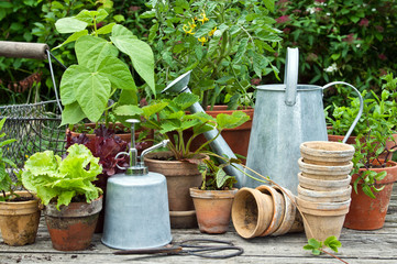 plant pots