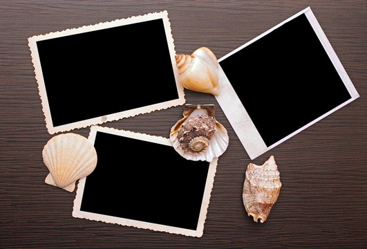 Photo frame with sea shells on wood background