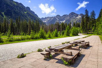 Beautiful scenery of Wlosienica meadow in Tatra mountain, Poland - obrazy, fototapety, plakaty
