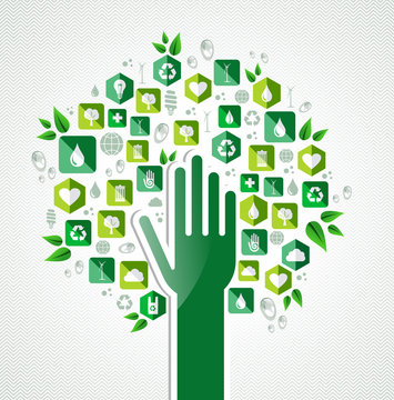Eco green hand tree
