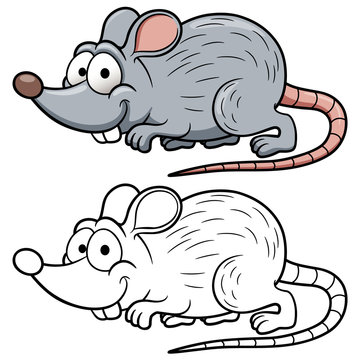 vector illustration of cartoon rat