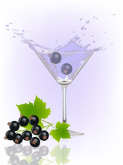 black currants splash