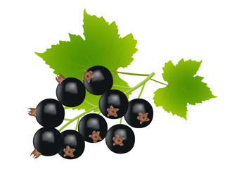 black currants