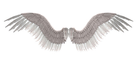 Angel wings