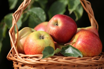 Detail of basket with apples