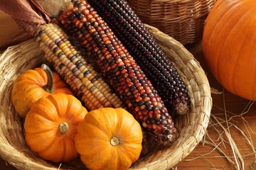 Pumpkins and indian corn arrangement.