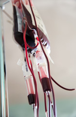Bluttransfusionen in Plastikbeuteln hängen an einem Tropfhalter- Szene im Krankenhaus