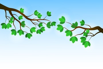 branch with fresh green leaves