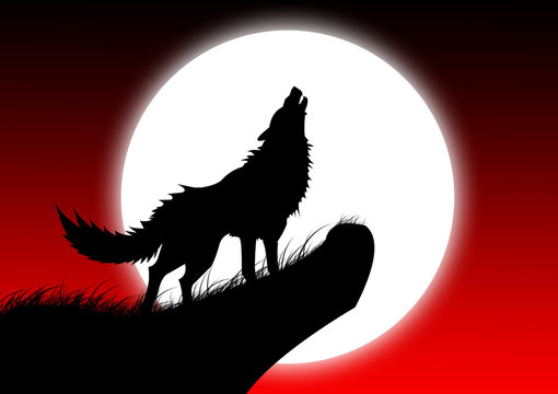 wolf