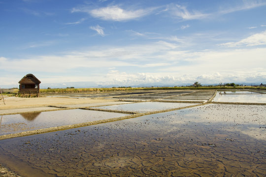 saltern of Cervia, Italy