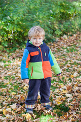 Little toddler boy having fun in autumn park