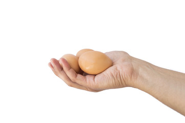 hand holding brown eggs