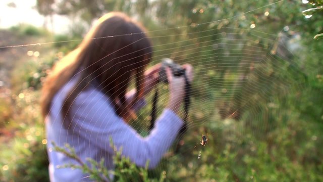 Spiderweb & the Girl with a photocamera at background.