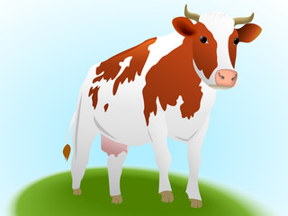 cow
