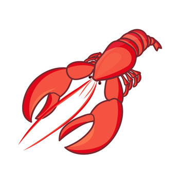 Lobster vector isolated  illustration
