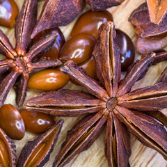 Anise star seeds