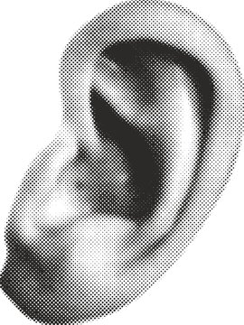 Ohr 040713