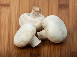 Champignon mushroom