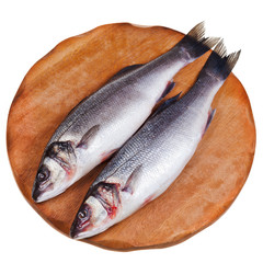 two raw sea bass