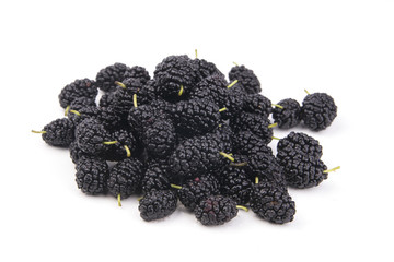 isolated mulberry