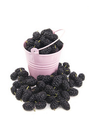 isolated mulberry