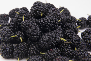 isolated mulberry