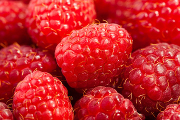 raspberry macro