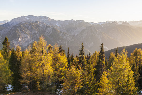 Fototapeta Autumn in the alps