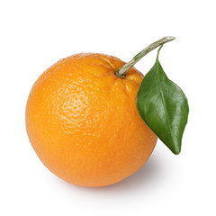 ripe round oranges with half, stem and leaf