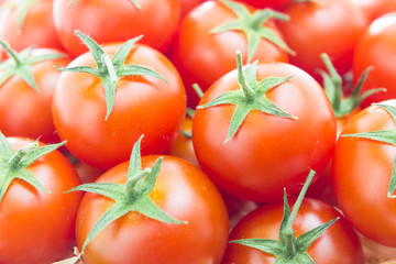 Tomatoes