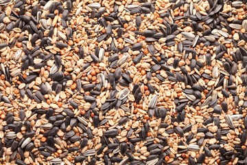 Assortment of seeds. Feed for outdoor birds