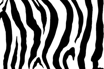 Möbelaufkleber Zebradruckbild © alextan8