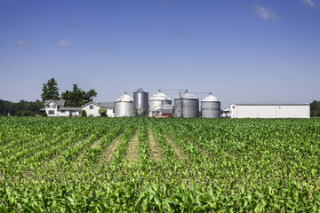 American countryside farm © marchello74