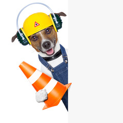 under construction dog