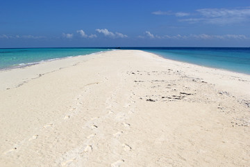 Fototapeta na wymiar Tropical sea and white sand beach