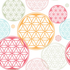 sacred geometry flower of life seed pattern