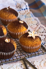 Muffins Schoko-Vanille