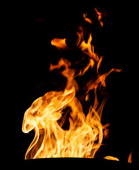 fire flames on black - obrazy, fototapety, plakaty