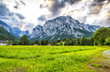 A vast Meadow leading to mountains.