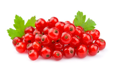 Red Currant
