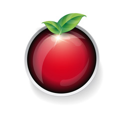 Natural button with green leaves