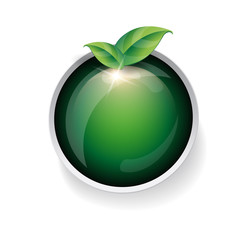 Natural button with green leaves