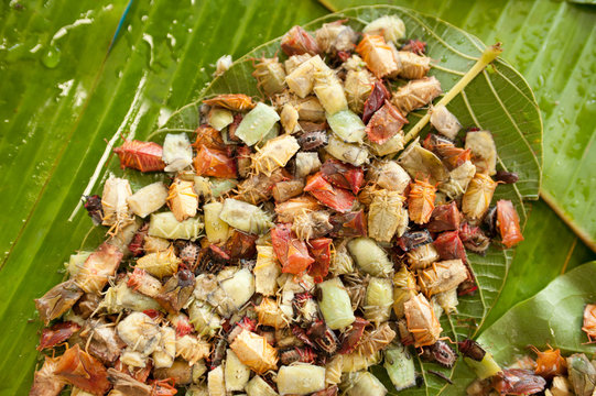 Isects in Thai rural market,Thailand