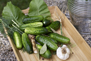 Cucumbers and spices , preparation for pickling