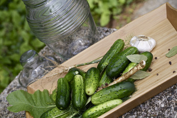 Fresh cucumbers,homemade preserves