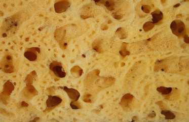 Natural sponge