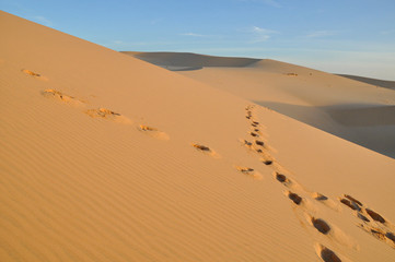 Footprints in sand dunes in Vietnam.
