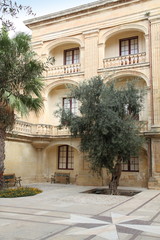 Fototapeta na wymiar Malta, Central, Mdina, Rabat, National Museum of Natural History