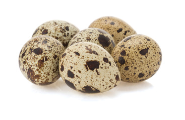 Obraz premium quail egg on white