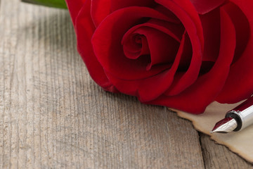 rose flower on wood